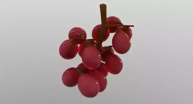 Grapes on branch