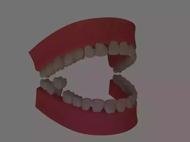 teeth 3d modl low poly 