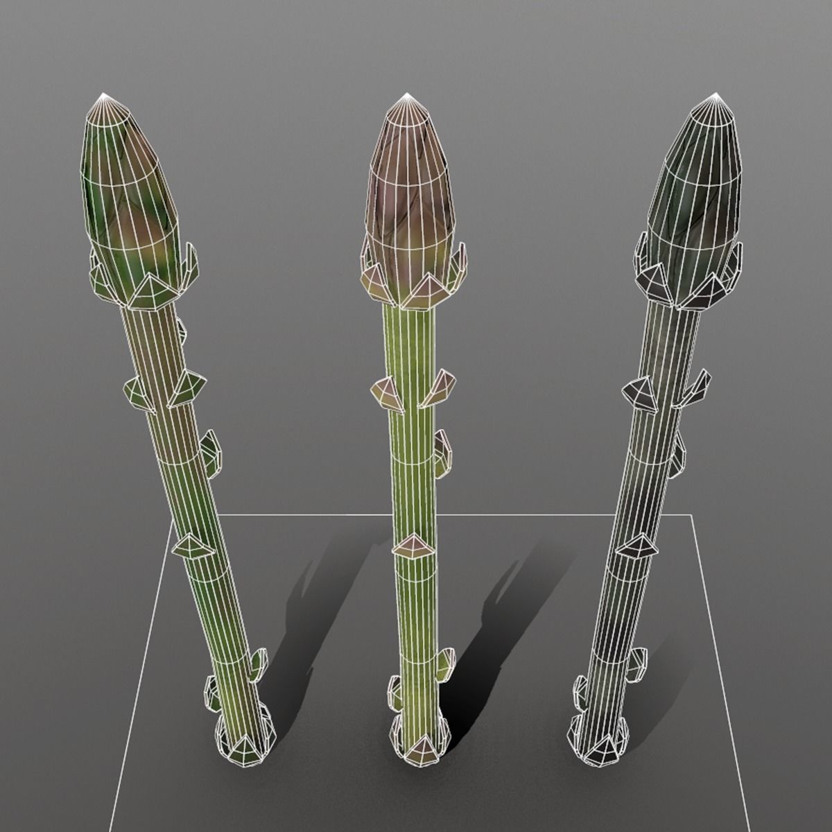 Aspargus three spears Low-poly 3D model_6