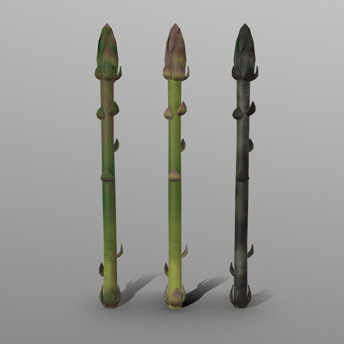 Aspargus three spears Low-poly 3D model_3