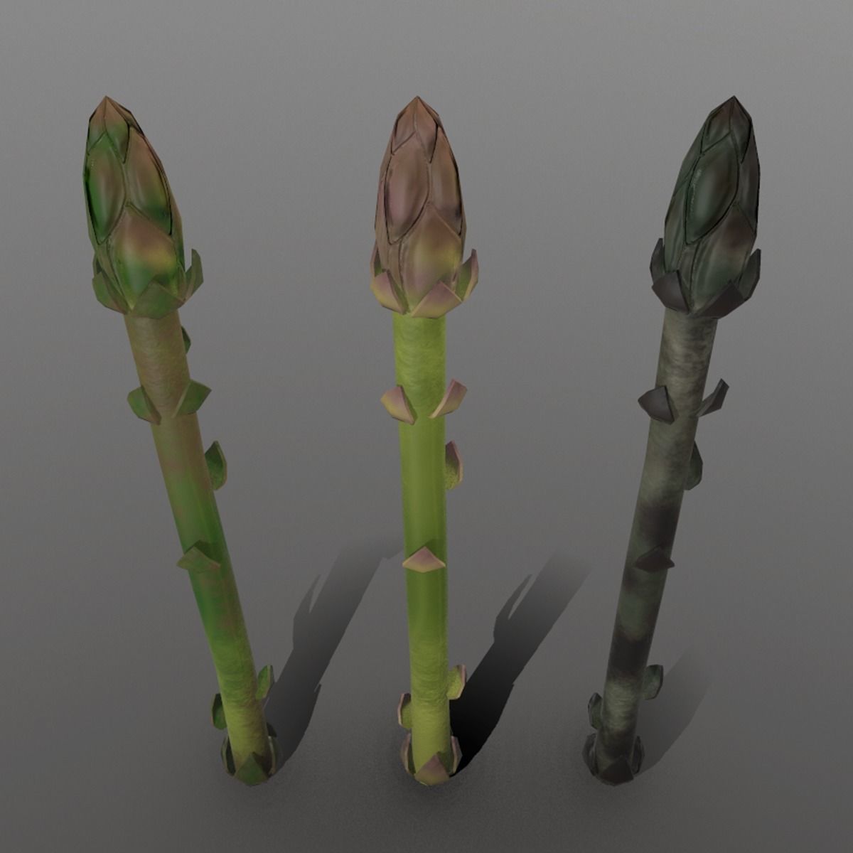 Aspargus three spears Low-poly 3D model_5