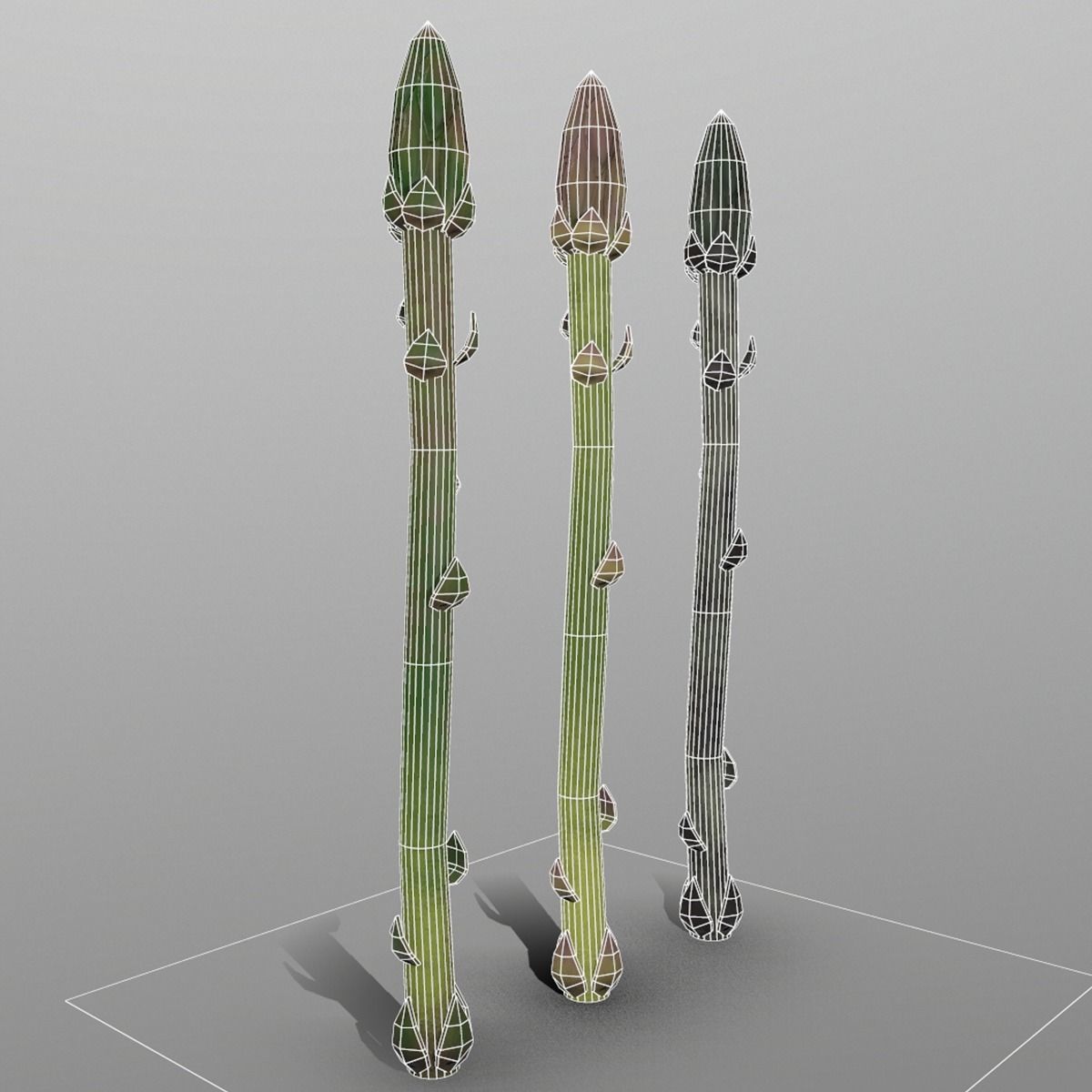 Aspargus three spears Low-poly 3D model_2