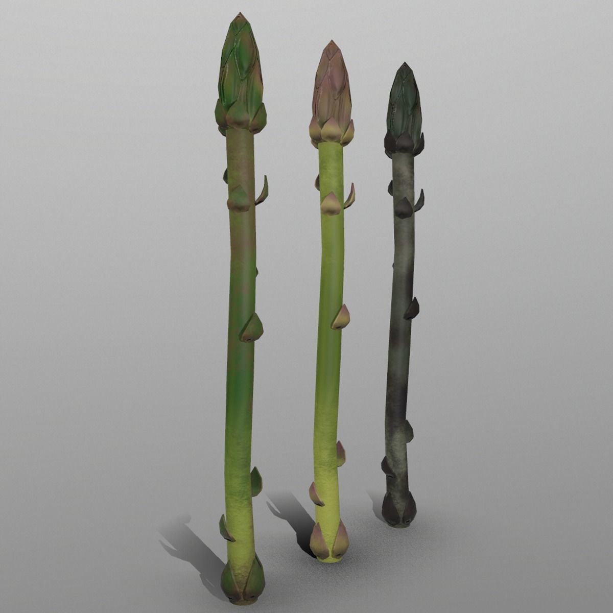 Aspargus three spears Low-poly 3D model_1