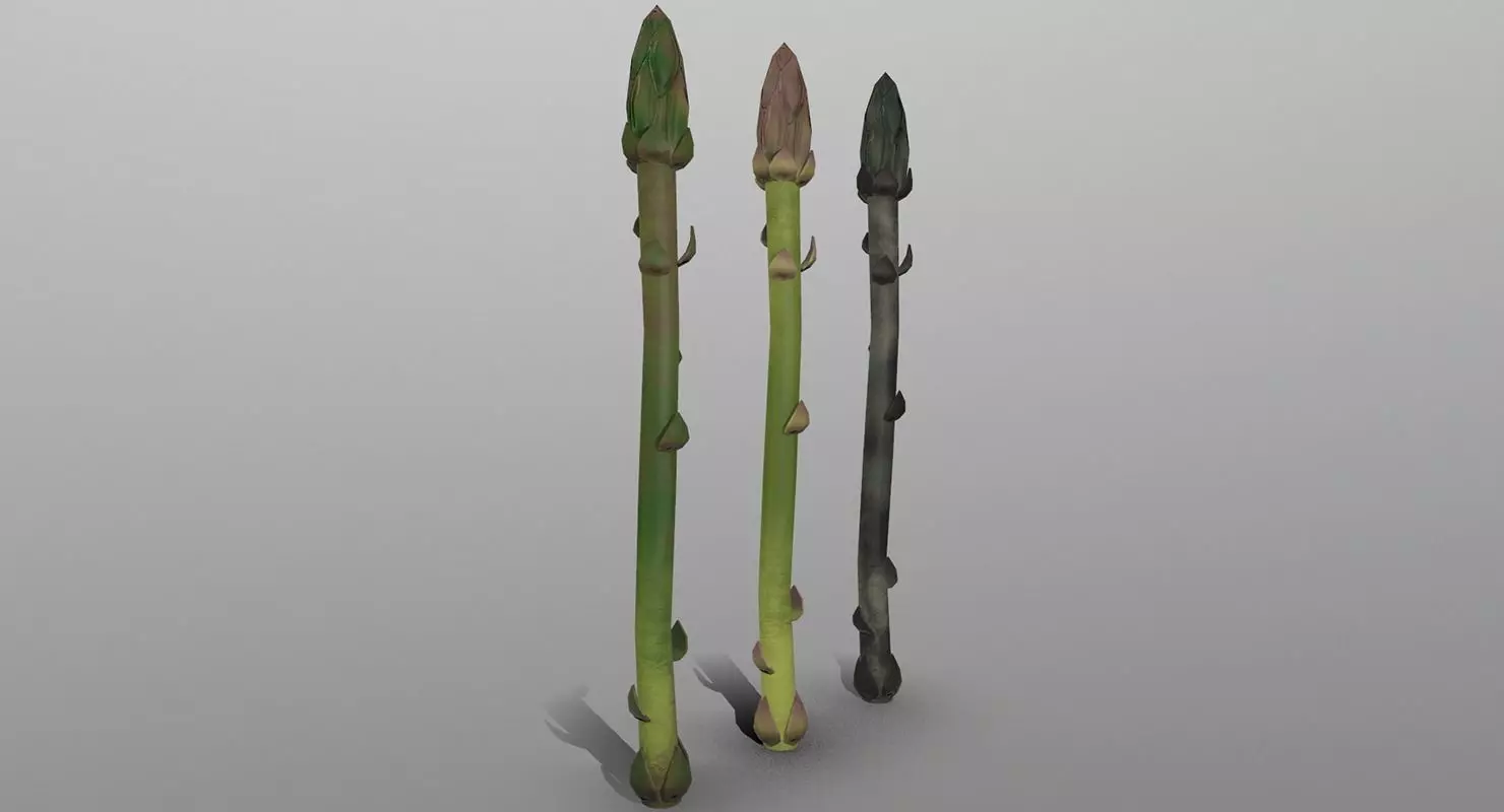 Aspargus three spears Low-poly 3D model_0