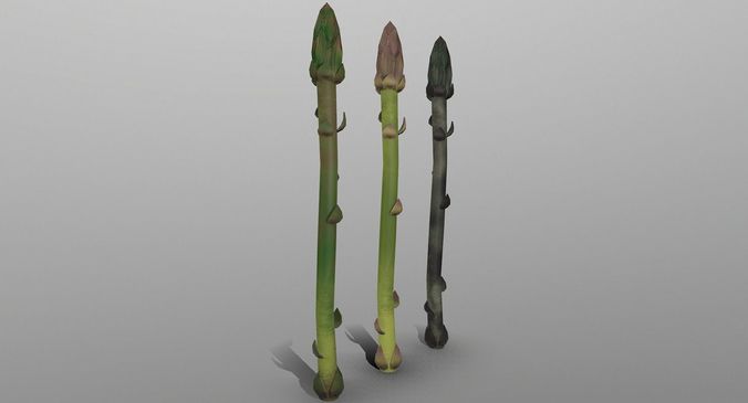Aspargus three spears Low-poly 3D model