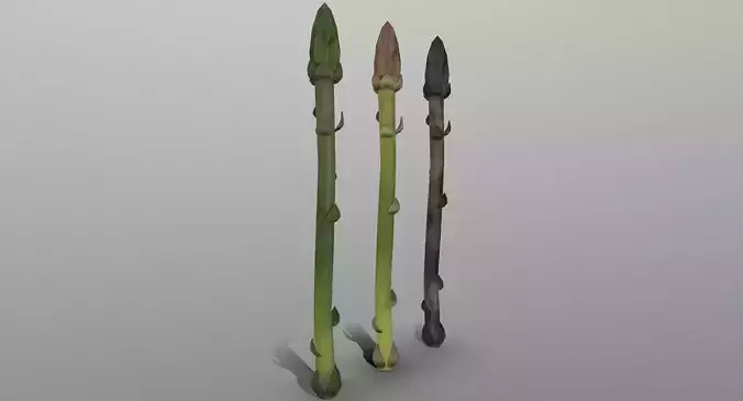 Aspargus three spears Low-poly 3D model