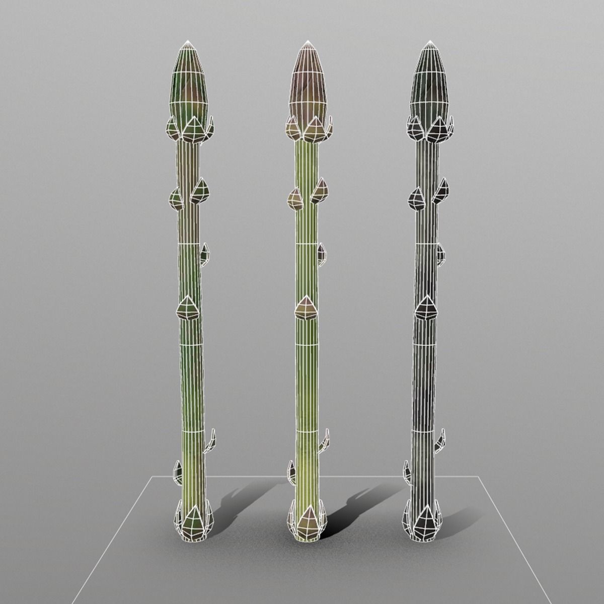 Aspargus three spears Low-poly 3D model_4