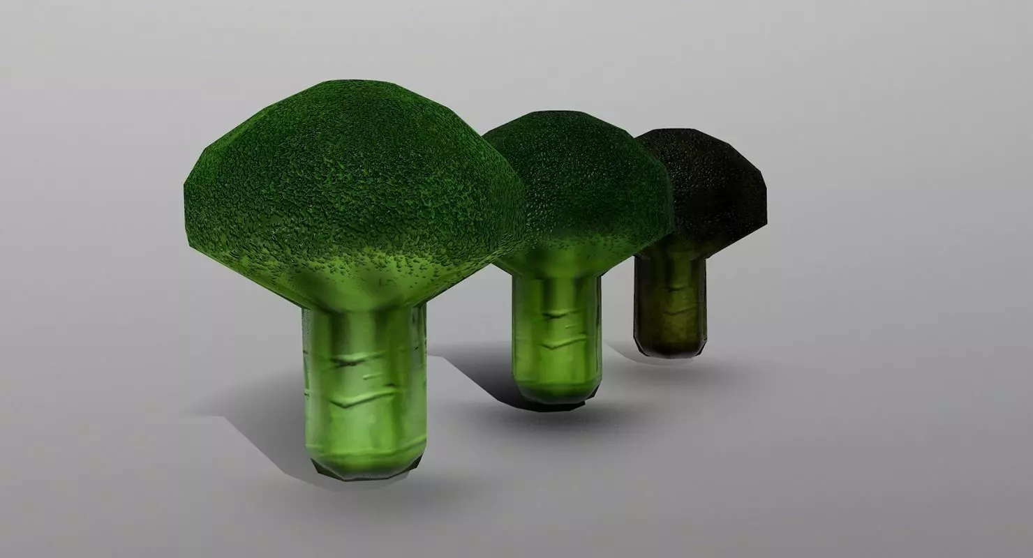 Broccoli - Low-poly 3D model_0