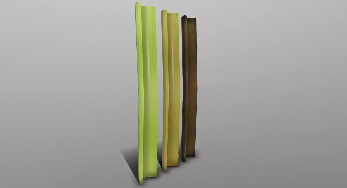 Celery set of sticks Low-poly 3D model_0