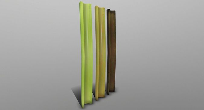 Celery set of sticks Low-poly 3D model
