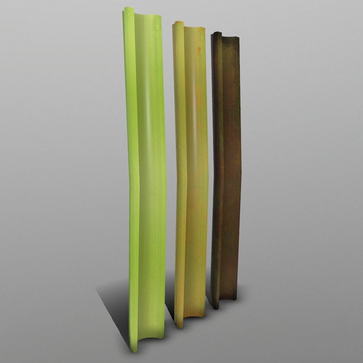 Celery set of sticks Low-poly 3D model_1