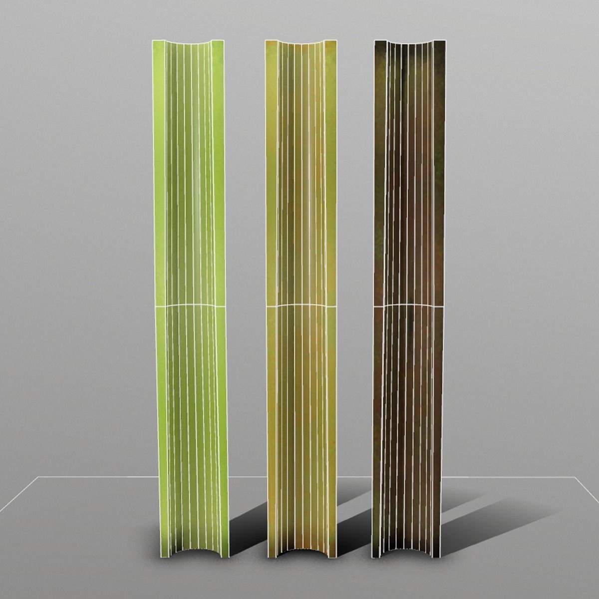 Celery set of sticks Low-poly 3D model_4