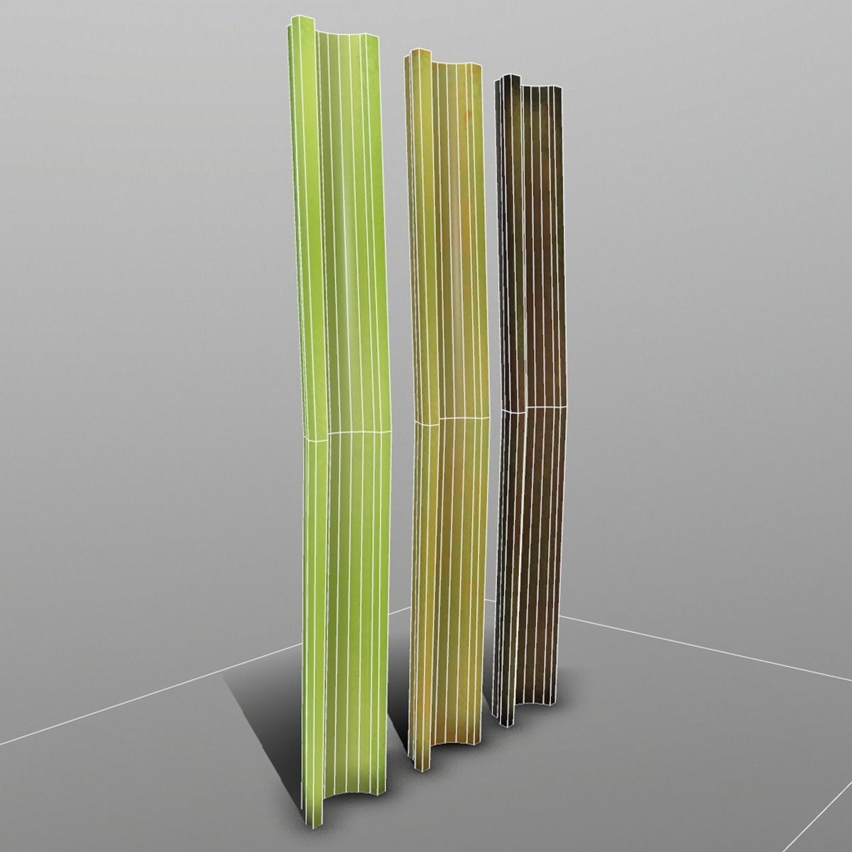 Celery set of sticks Low-poly 3D model_2