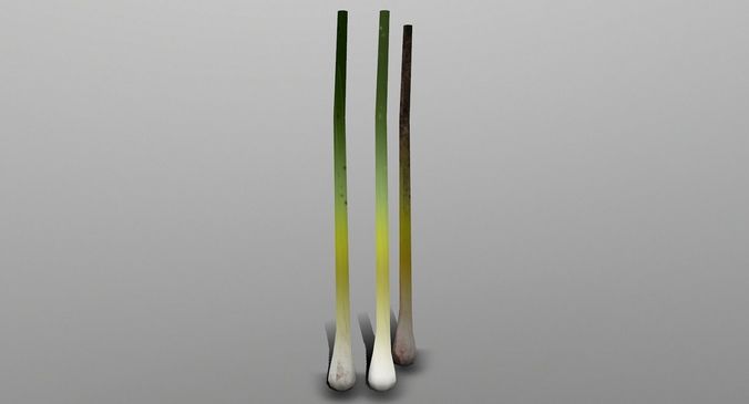 Green Onion Low-poly 3D model