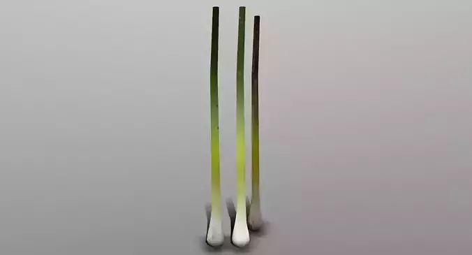Green Onion