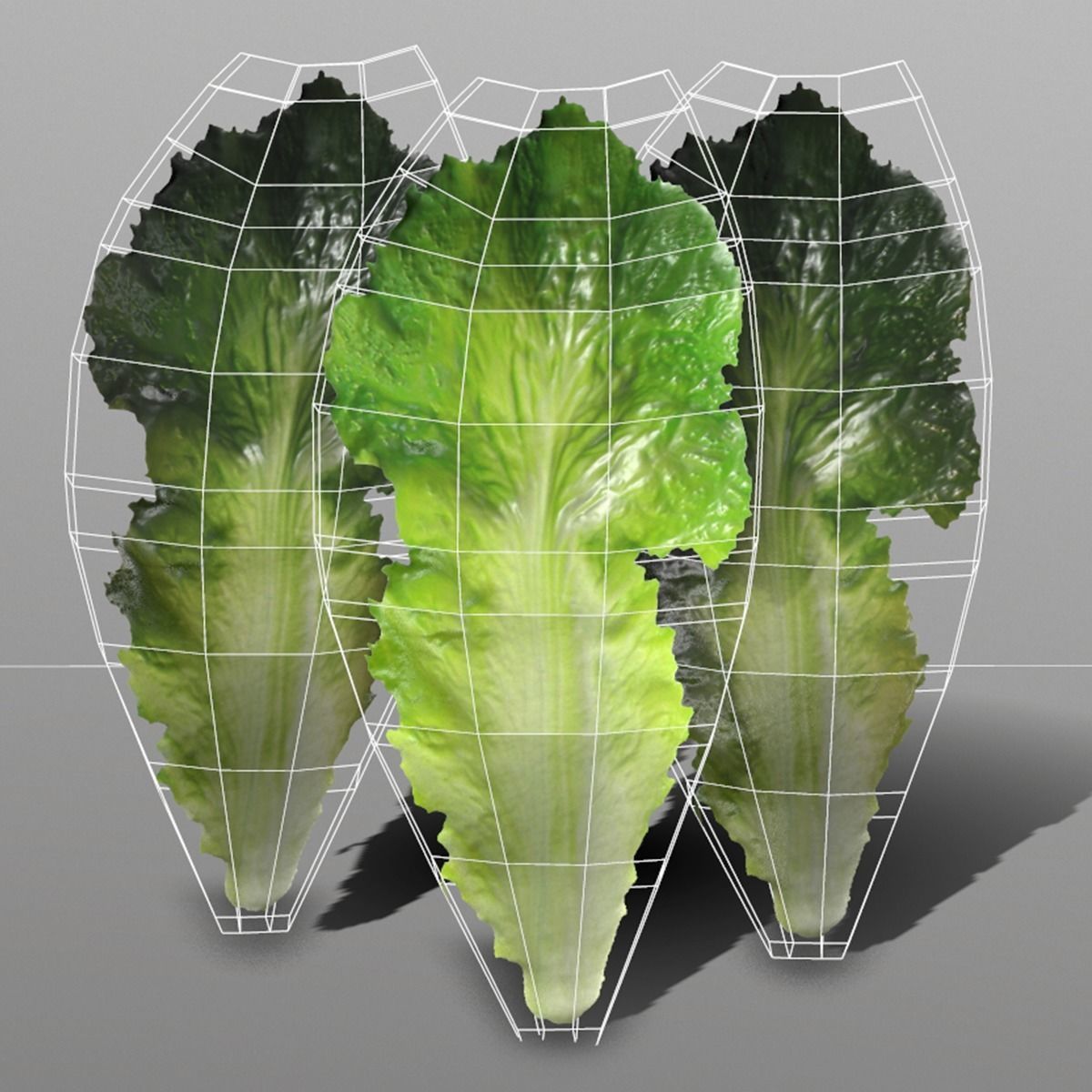 Lettuce Leaf Low-poly 3D model_4