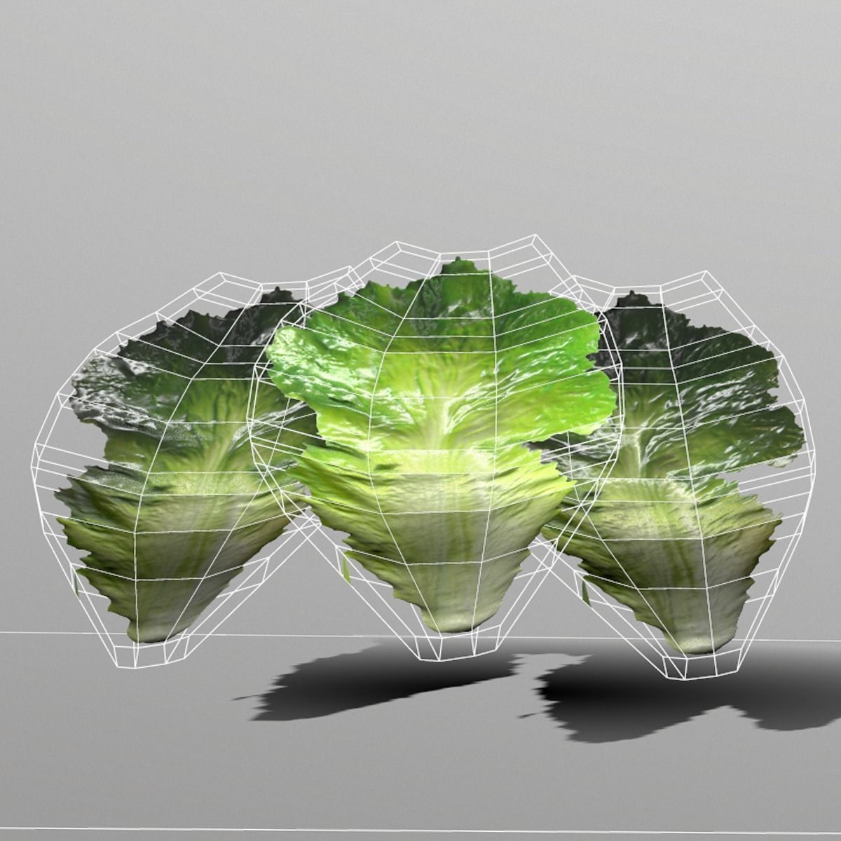 Lettuce Leaf Low-poly 3D model_6