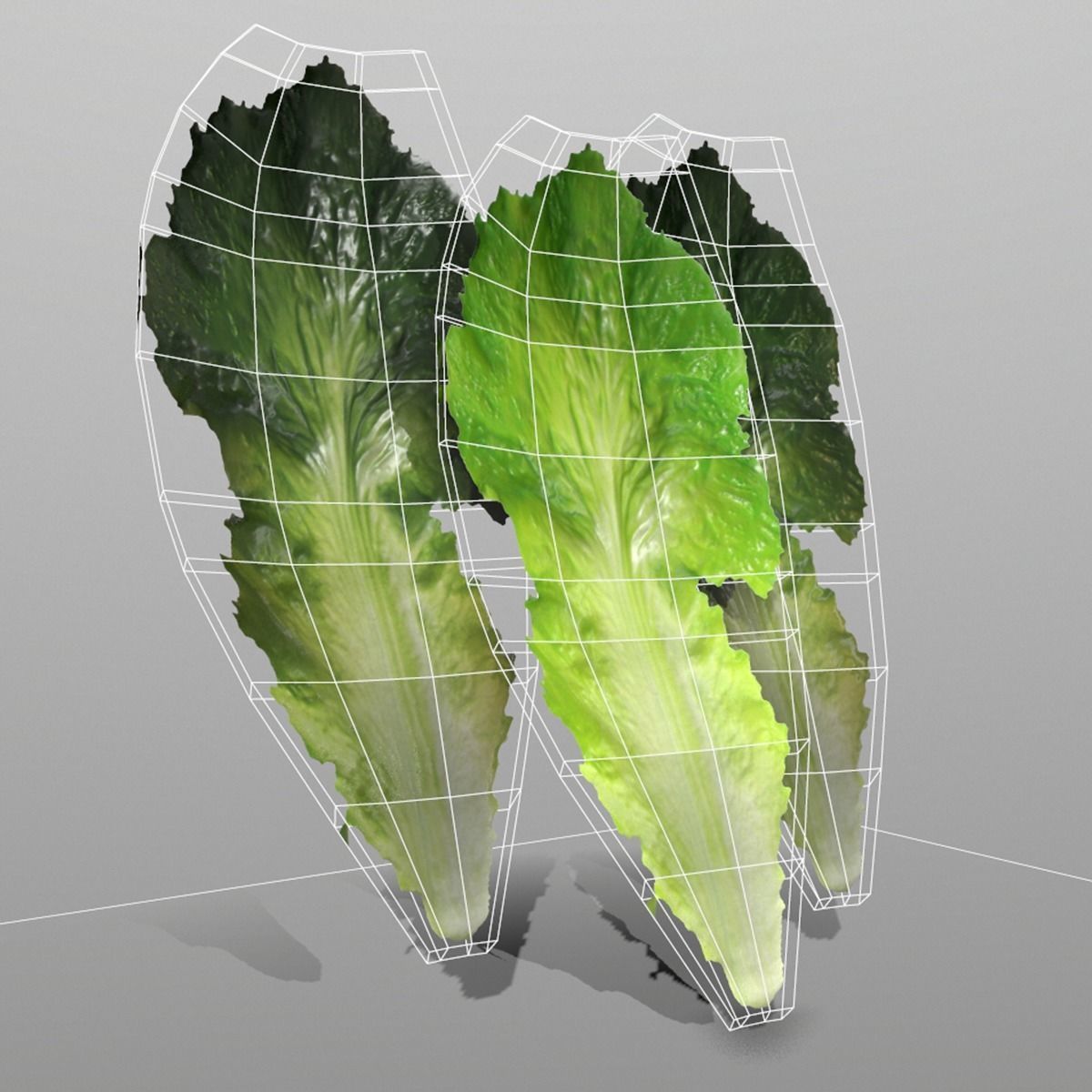 Lettuce Leaf Low-poly 3D model_2