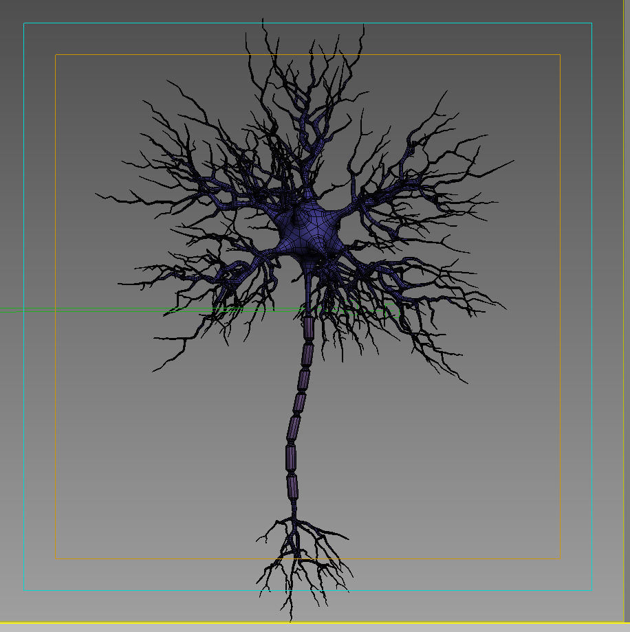 Motoric Neuron  3D model_6