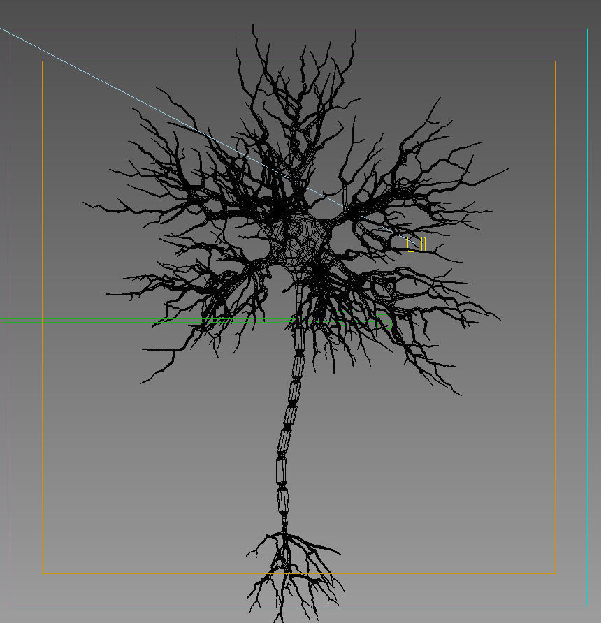 Motoric Neuron  3D model_5