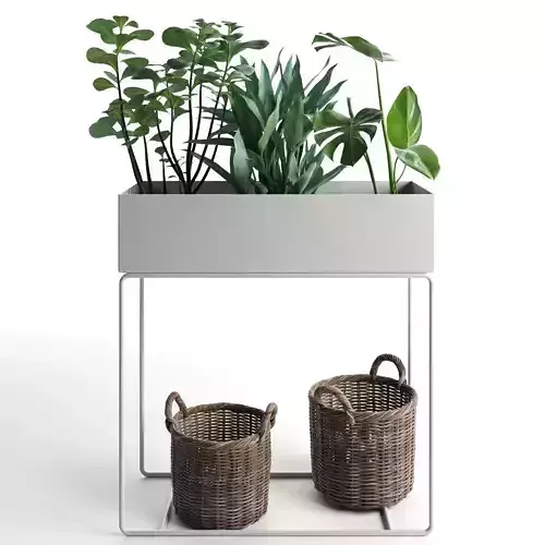 Plant Box with Wicker Baskets