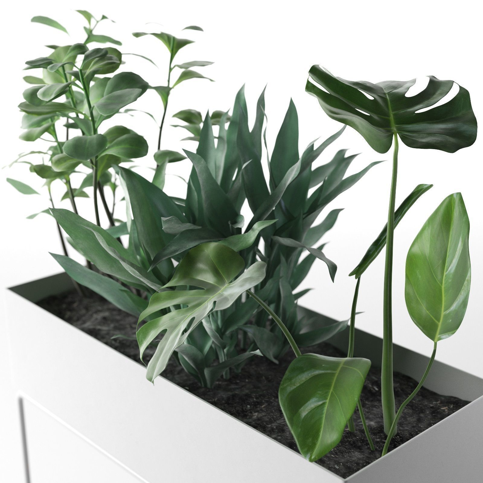 Plant Box with Wicker Baskets 3D model_2