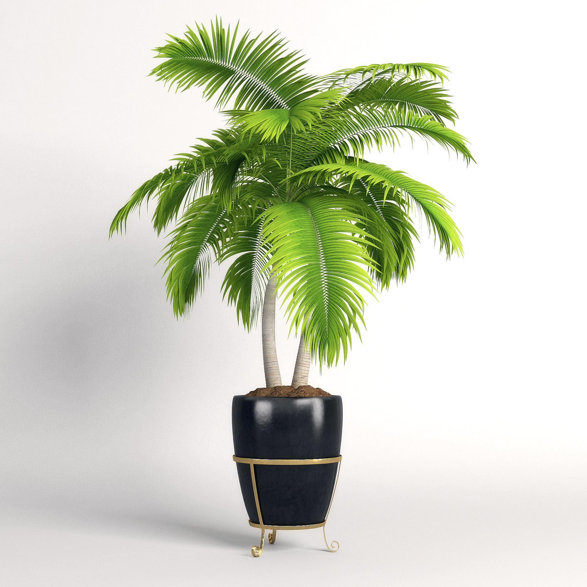 Double palm in a pot 3D model_1