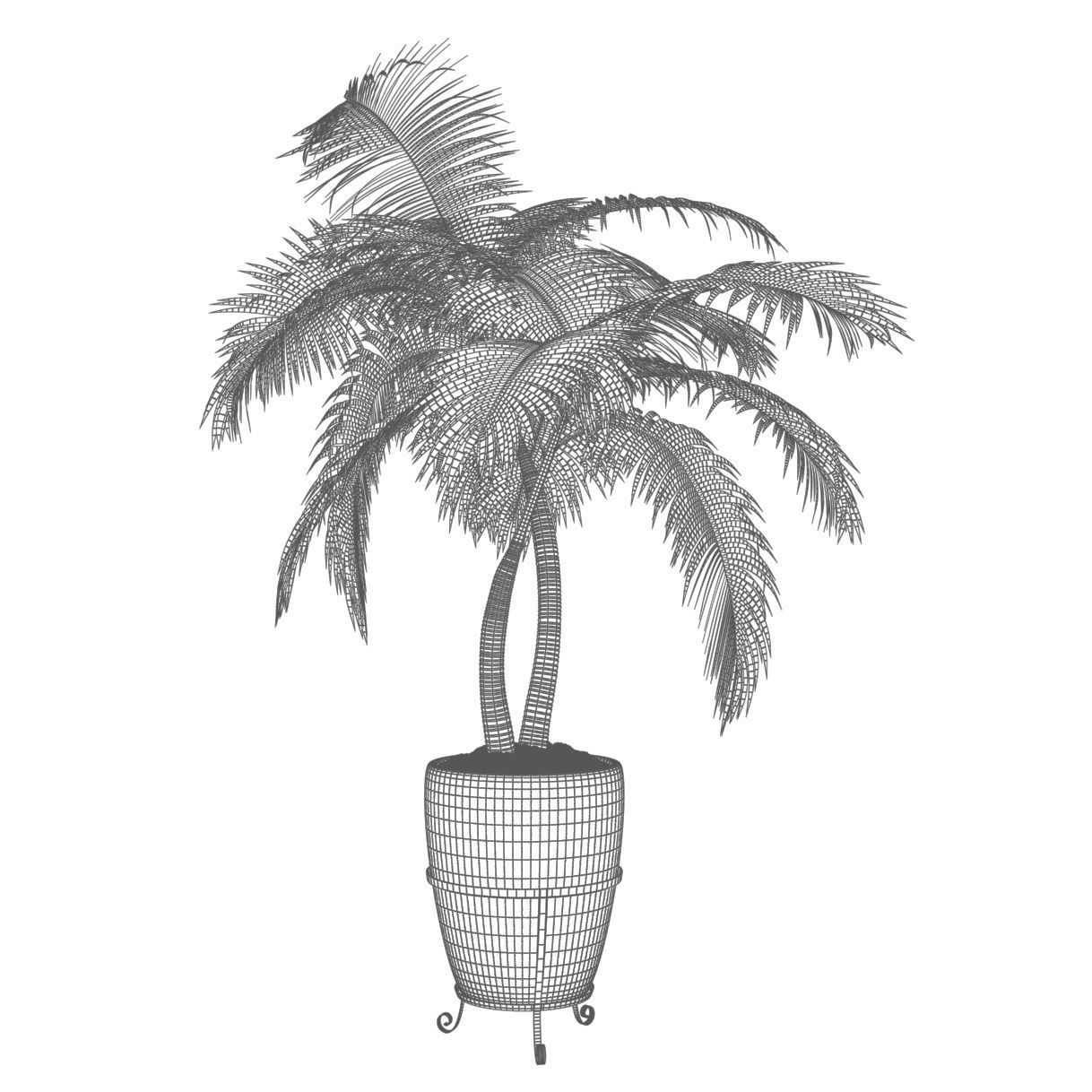 Double palm in a pot 3D model_4