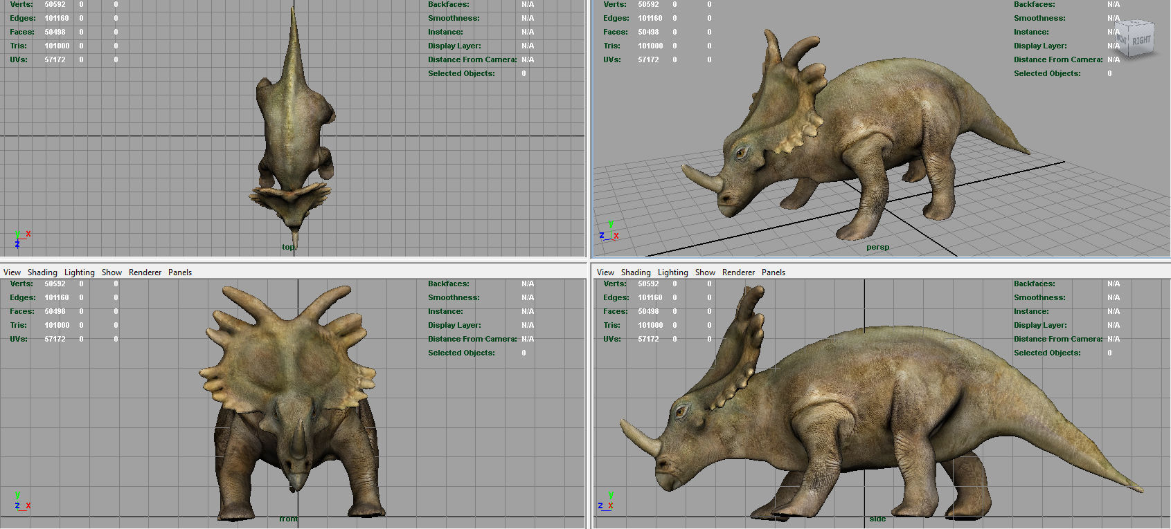 Triceratops dinosaur 3D model_5