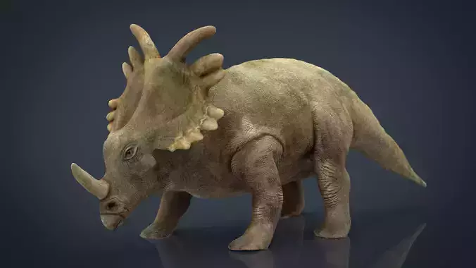 Triceratops dinosaur 3D model