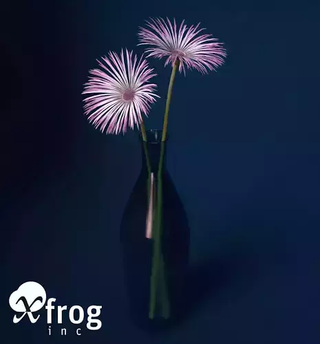 XfrogPlants Spider Gerbera 3D model