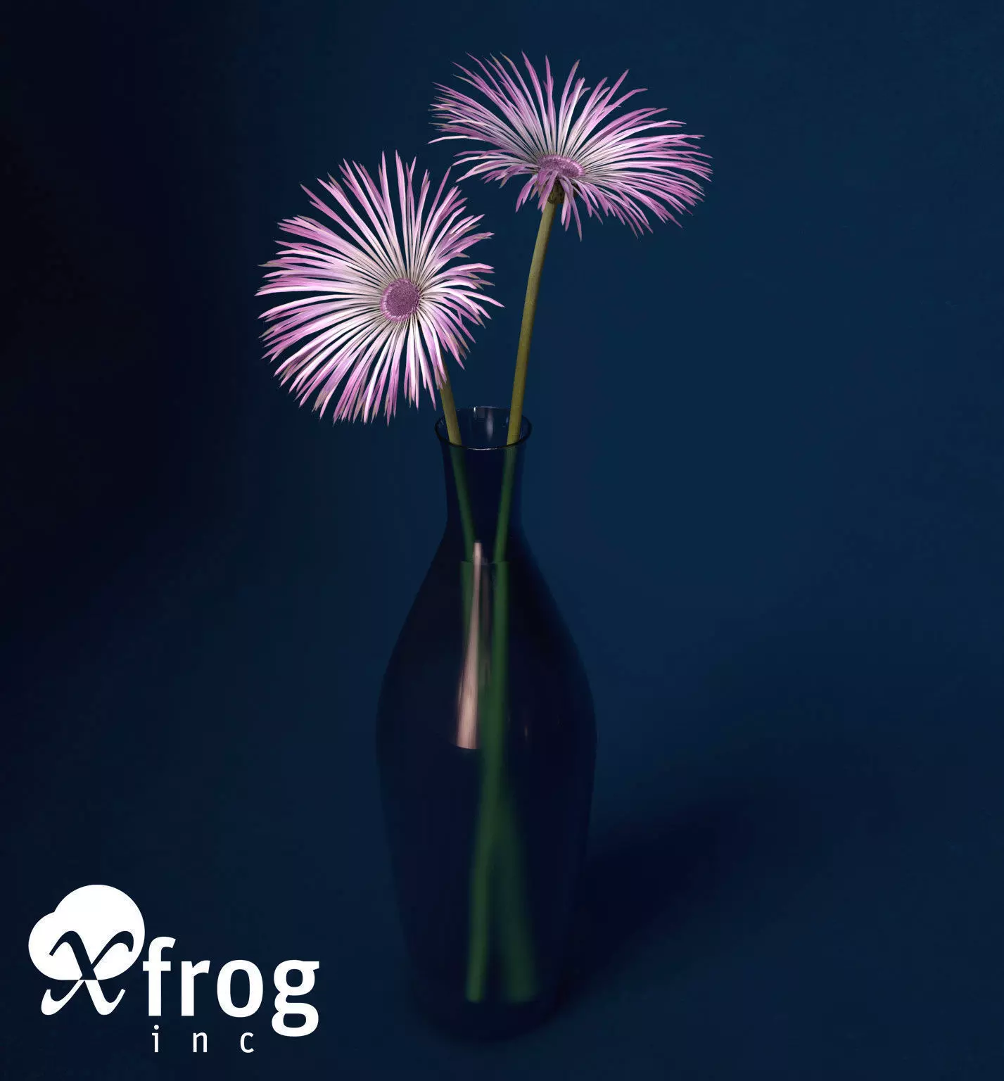 XfrogPlants Spider Gerbera 3D model_0