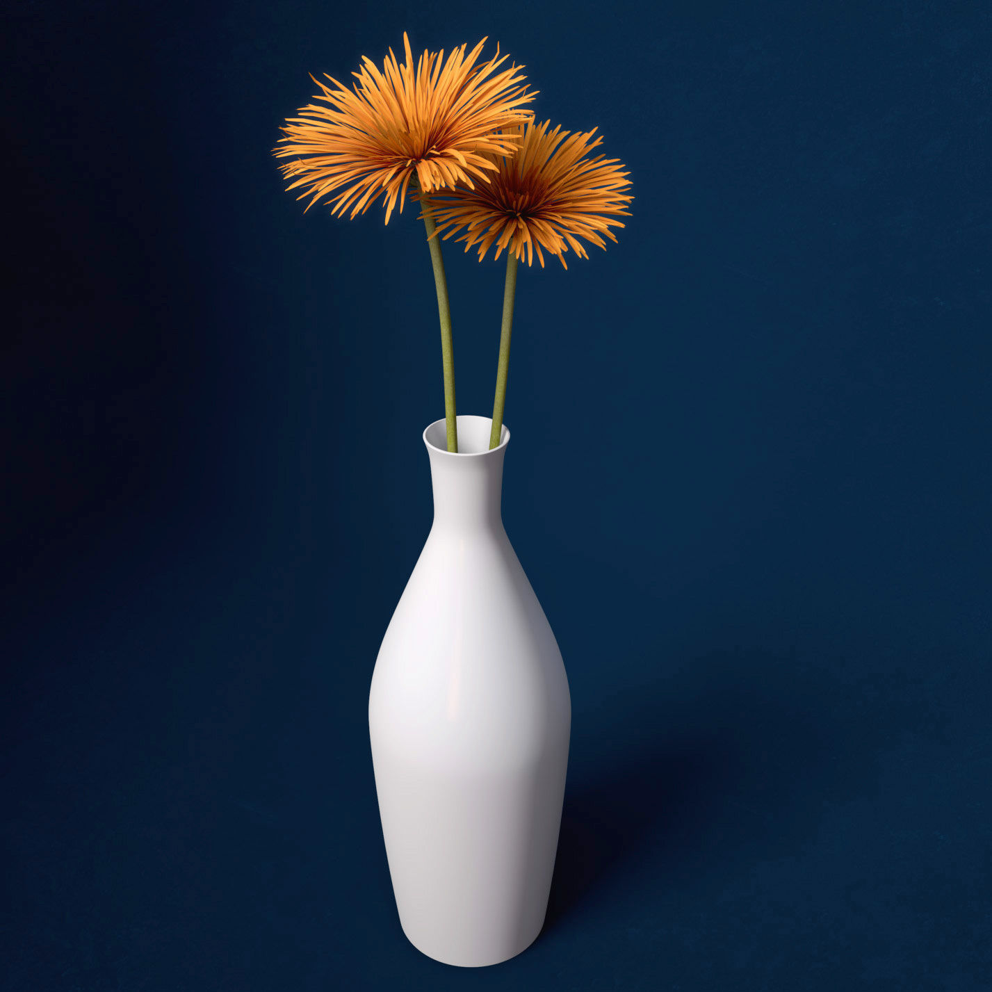 XfrogPlants Spider Gerbera 3D model_1