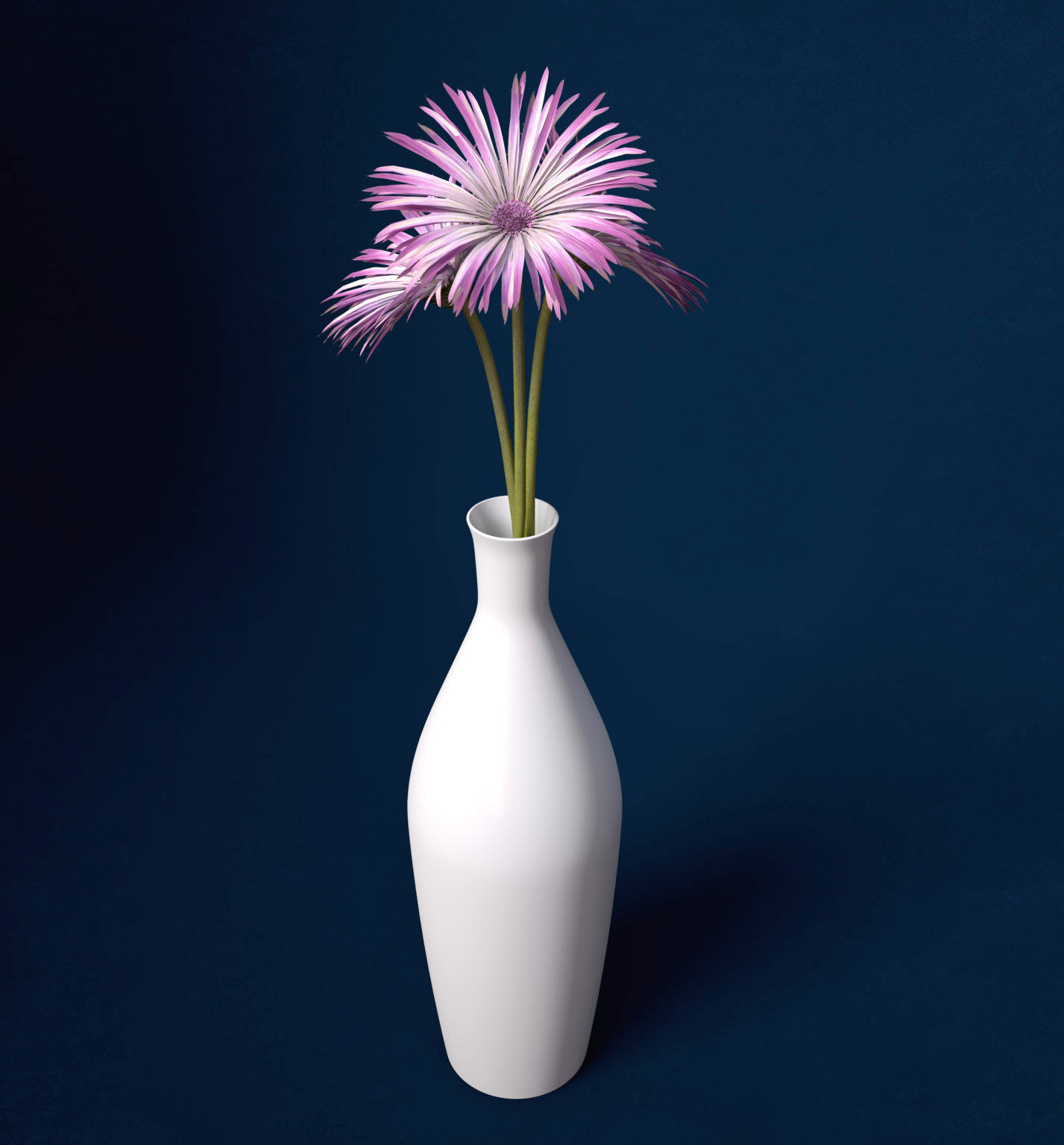 XfrogPlants Spider Gerbera 3D model_2