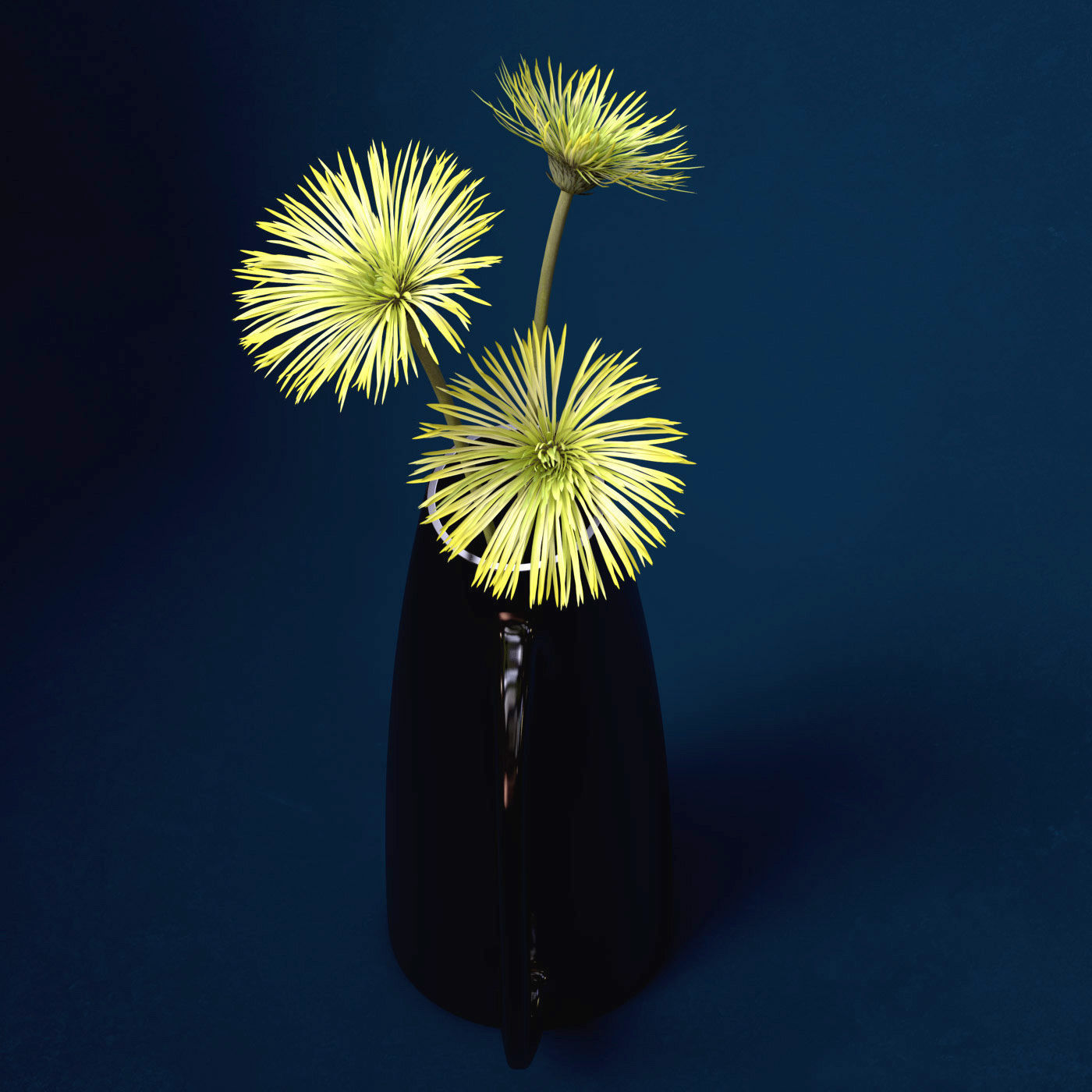 XfrogPlants Spider Gerbera 3D model_6
