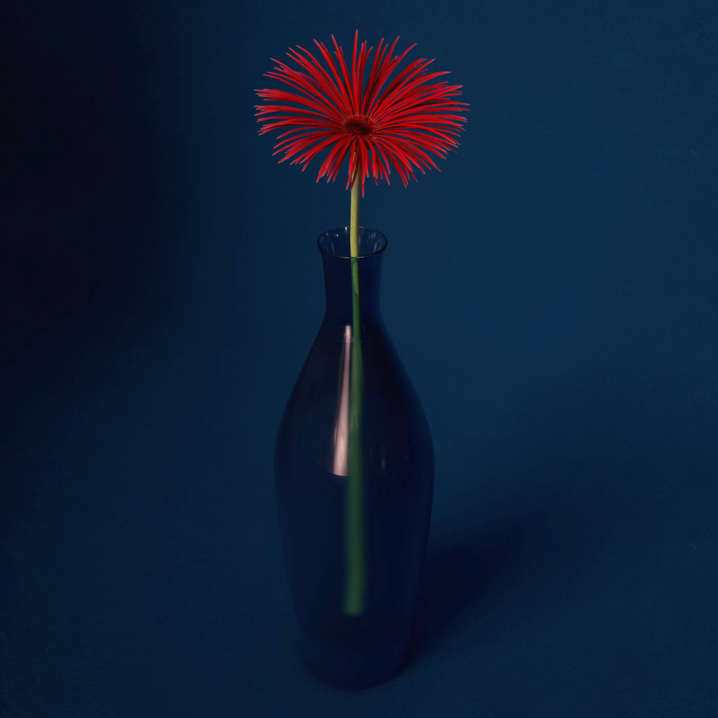 XfrogPlants Spider Gerbera 3D model_5