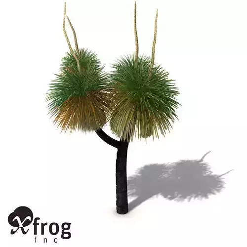 XfrogPlants Australian Grass Tree 3D model
