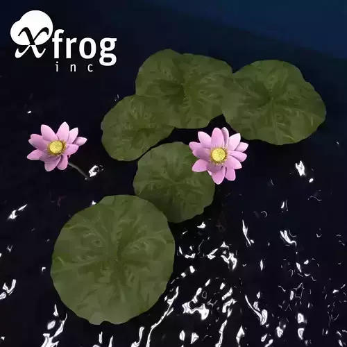 XfrogPlants Lotus