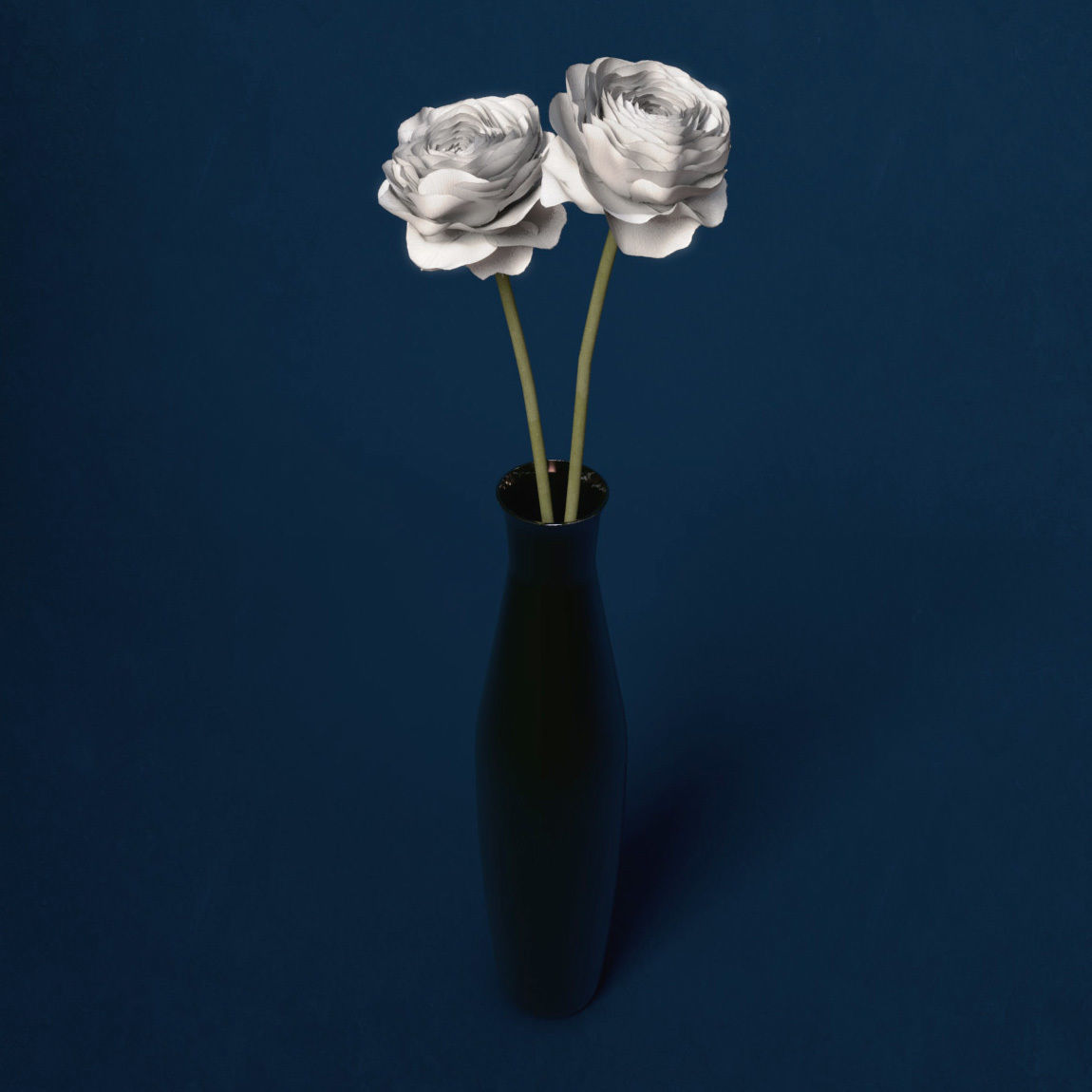 XfrogPlants Buttercup 3D model_3