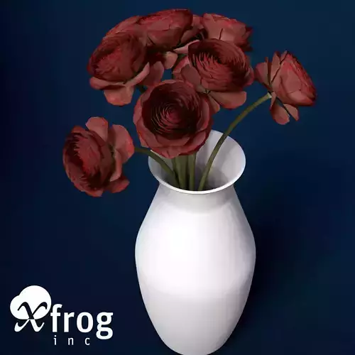 XfrogPlants Buttercup 3D model