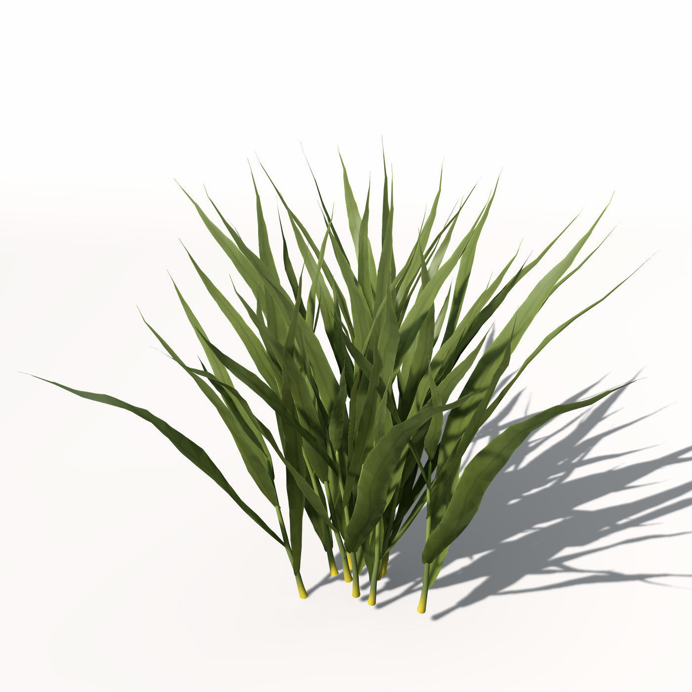 XfrogPlants Rice 3D model_4