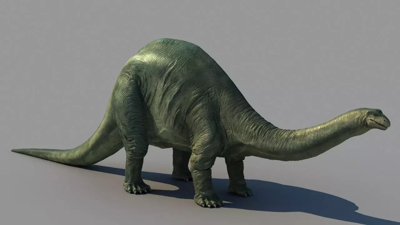 Brontosaurus dinosaur 3D model