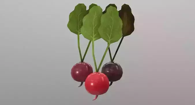 Radish three radishes Low-poly 3D model