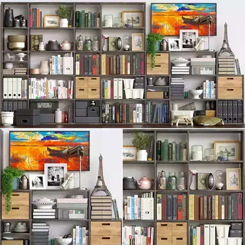 Set-194 living room with bookshelves and paintings