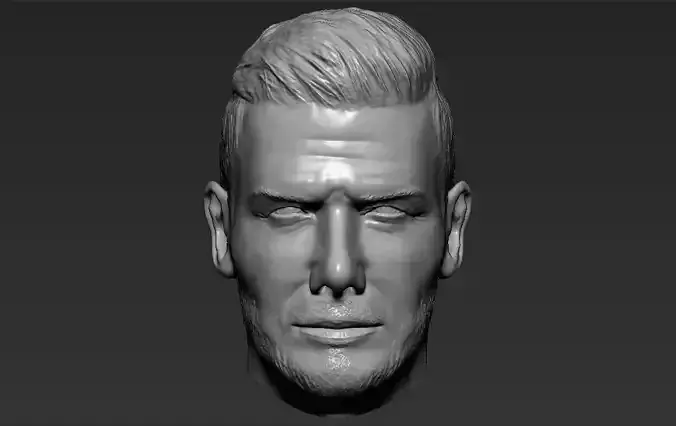 David Beckham standard version only mesh