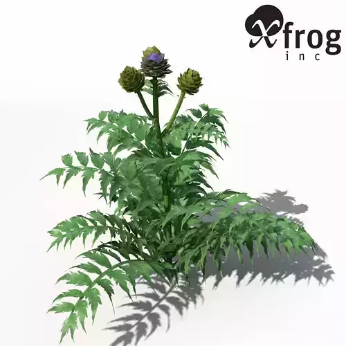 XfrogPlants Artichoke 3D model