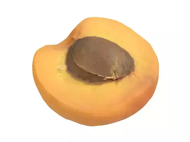 Photorealistic Apricot Half 3D Scan