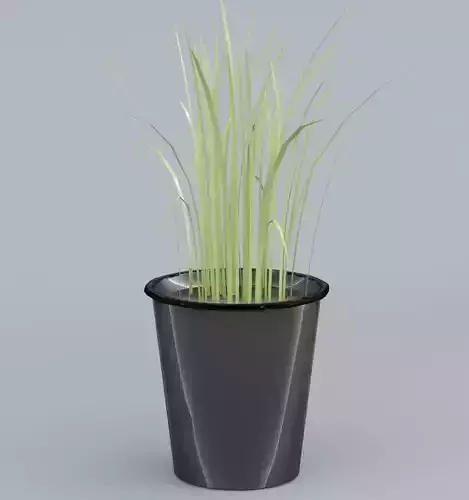 Plant Low Poly grass in pot