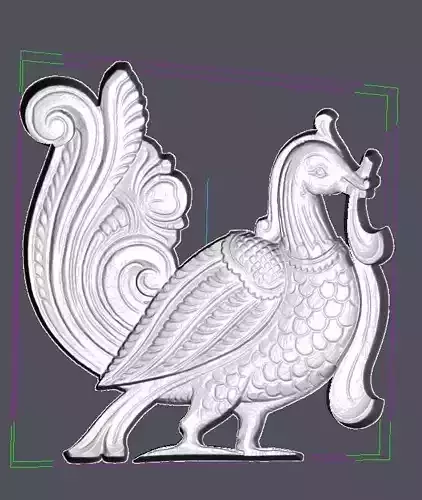 Birds ornate pheasant