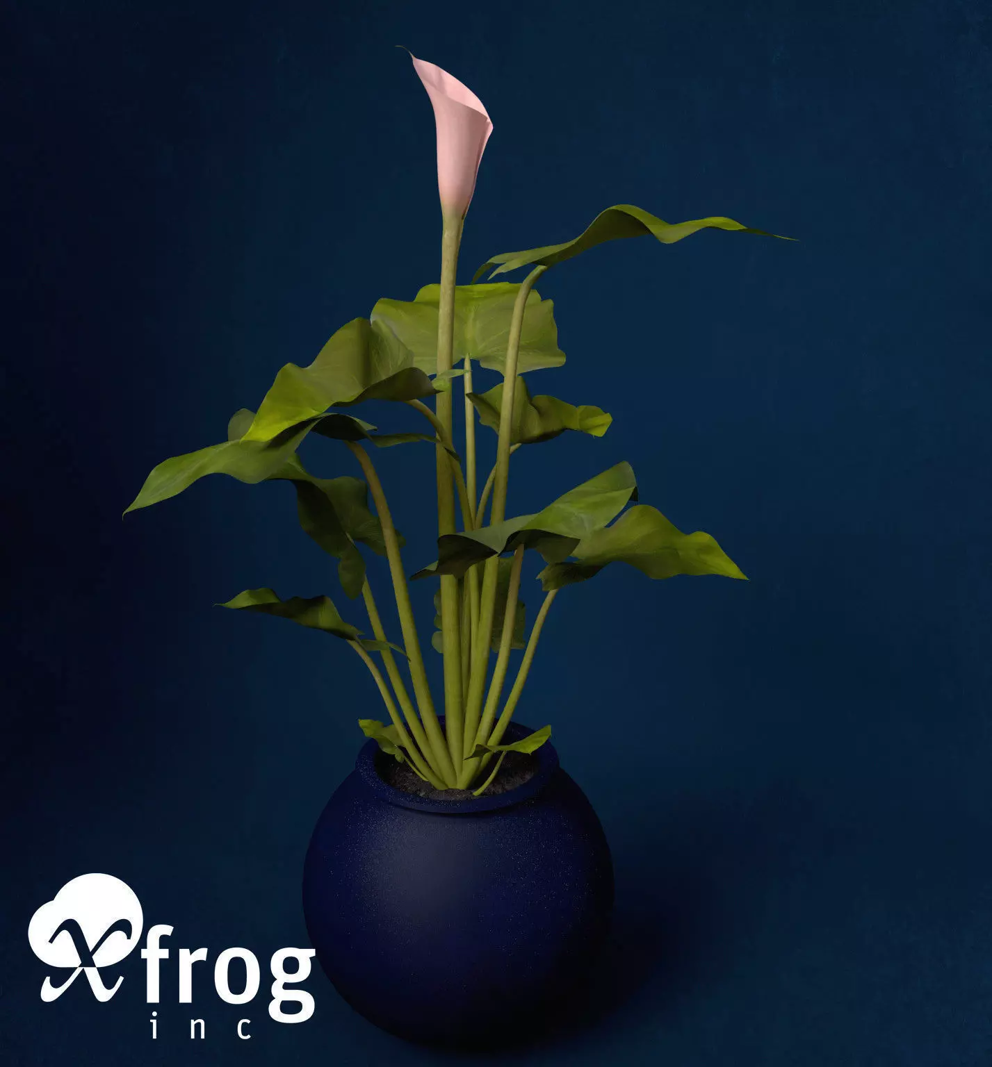 XfrogPlants Calla Lily 3D model_0